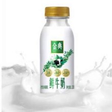 金典 巴氏杀菌鲜牛奶 450ml*10瓶