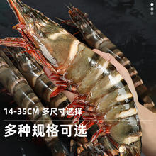 88VIP会员：首鲜道 黑虎虾超大新鲜鲜活虎特大速冻海鲜斑竹节