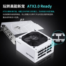 鑫谷（segotep）GM1000W ATX3.1冰山版金牌全模组电源（原生PCIE5.1/105℃电容/白色模组线/台式电脑主机电源）