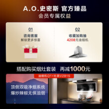 史密斯（A.O.SMITH）佳尼特 燃气热水器13升 国家补贴 精控恒温 不锈钢换热器包 8年 家用洗澡 抗风防冻天然气TC1 13L 【恒温舒适】