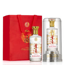 百亿补贴：五粮液 WULIANGYE 股份公司一尊天下经典52度 500ml 浓香型白酒礼盒装