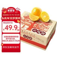 褚橙 云冠橙 云南冰糖橙 一级果10斤装 单果约100g 2箱
