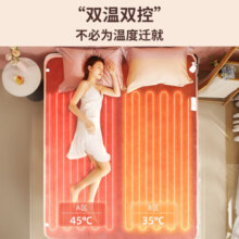艾美特（AIRMATE）电热毯双人双控电褥子除湿除螨抑菌亲肤电热炕智能定时调温电暖毯子家用安全自动断电宿舍暖床烘被 灰【四档/定时/除螨】双人单控1.8米*1.2米
