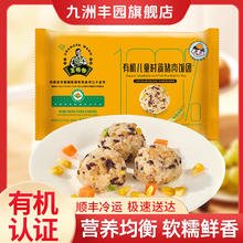 九洲丰园 有机儿童时蔬猪肉饭团240g(8只) 任选5件