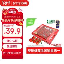 京鲜生 Mr.Seafood &一颗大 玲珑串番茄 樱桃番茄 净重2斤/盒 生鲜水果年货 源头直发