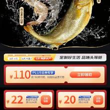 促销活动：京东年货节 挑好物逛京东 满30减20/199减110元 等自营海鲜补贴券