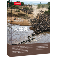美丽的地球.大迁徙 地球上最伟大的生命旅程（科普图书  动物迁徙  中国国家地理）