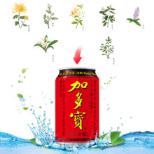 加多宝 凉茶饮料310ml*24罐