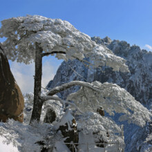 黄山山顶4店标间1晚通兑（含双早+黄山门票+温泉票2张+花山谜窟2张）