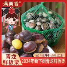 降价！满栗香 2024年新鲜青龙板栗6斤