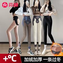 芬腾 羊羔绒加厚鲨鱼裤 盲盒