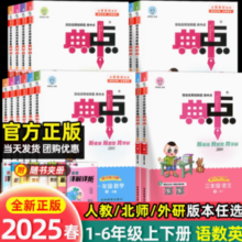 名师精妙点拨！《2025春荣德基典中点》