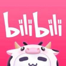 B站大会员12个月 哔哩哔哩大会员bilibili年卡 不支持电视填手机