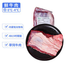 月盛斋 国产牛腩1斤 内蒙牛肉鲜肉 中华（肥瘦2:8）