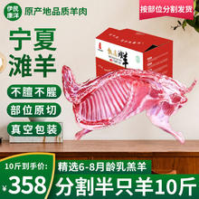 伊民康洋 正宗宁夏滩羊肉 分割半只羊切块10斤