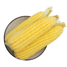 plus会员:京鲜生东北黄糯玉米棒220g×8根 甜黏玉米 多种包装随机发货 源头直发