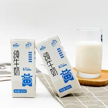 皇氏乳业 纯牛奶 200ml*15盒