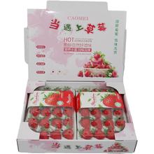 淘轩园 大果 红颜99草莓 1盒（单盒15粒净重300g+）