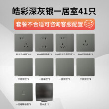 西门子（SIEMENS） 【清单报价】皓彩深灰银无边框大面板 开关插座面板家用暗装86型 一居室41只
