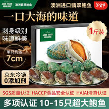 JADE TIGER ABALONE 澳洲进口翡翠鲍鱼 7cm 10-15只/盒