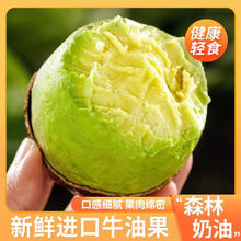 鲜级佳 秘鲁进口牛油果 100-140g 6个装