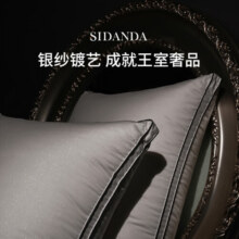 SIDANDA匈牙利全95白鹅绒枕头五星级酒店睡眠羽绒枕芯高奢银棉女王枕 高奢银棉全鹅绒枕-低软枕