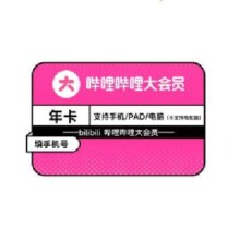 bilibili 哔哩哔哩 大会员年卡12个月