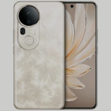 限地区：vivo S20 Pro 16GB+512GB 凤羽金
