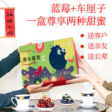 限移动端、京东百亿补贴：Mr.Seafood 京鲜生 云南蓝莓4盒装（果经15mm+）+JJ级车厘子5斤装 年货礼盒源头直发