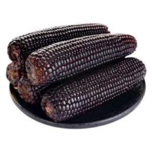 京东自营，京百味 东北黑糯玉米 220g*8棒