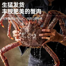 88VIP会员：首鲜道 帝王蟹鲜活海鲜水产6斤超特大皇帝蟹长脚蟹冷冻蜘蛛螃蟹