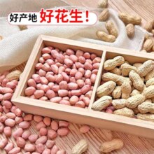 河南大白沙花生米 500g*2件