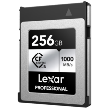 雷克沙（Lexar）256GB CFexpress Type B存储卡 读1750MB/s 富士佳能尼康适配 8K超清录制 cfe卡（SILVER）