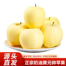 京觅 茜货 正宗大连黄元帅苹果/冻梨组合 5斤（大号）（低至2.59元/斤，可搭配牛腩、银鳕鱼、羊腿肉等）