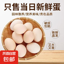 谷物饲养土鸡蛋 10枚（买一赠一）单枚40g+