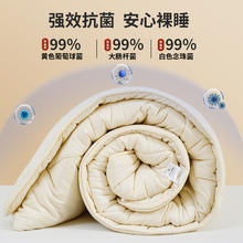 皇冠 DATE CROWN 大豆纤维被 空调被 150*200cm 3.5斤