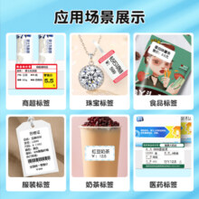 精臣 B21服装食品珠宝智能标签打印机热敏手持便携式超市价格预约二维码商品不干胶吊牌珠宝贴纸配料表 B21 绿色（单机，需购买标签纸）