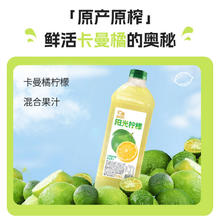 88VIP会员：汇源 100%桃混合果汁2L*1瓶
