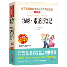 汤姆·索亚历险记