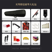 木棉花V008小提琴初学者儿童成人练习考级手工实木专业级 V008经典畅销款【推荐】 4/4 身高155cm以上适用