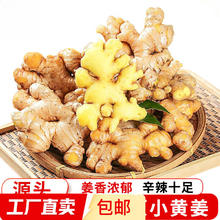 云南小黄姜新鲜 3斤 装