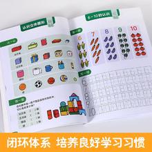 乐乐趣傲游猫幼小衔接全科训练营