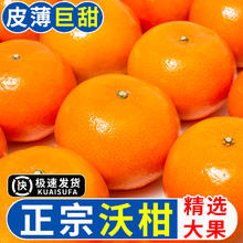 百亿补贴：御品一园 广西武鸣沃柑3/4.5/8斤礼盒水果新鲜柑橘子应季桔子