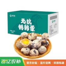 京觅 新鲜无抗鹌鹑蛋 63枚 630g