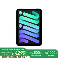 苹果 Apple iPad mini (A17 Pro) 8.3英寸 2024年新款平板电脑(256G eSIM版/MXQ43CH/A)深空灰色湖北国补15%