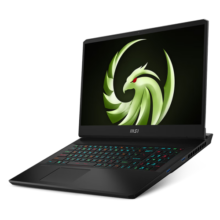 微星（MSI）雷影17【国家补贴20%】17.3英寸游戏本笔记本电脑(新R9-7940HX 满血RTX4070 16G 1TB 2.5K 240Hz )