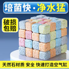 森森 鱼缸过滤材料硝化细菌屋石英球培菌滤材净水 小方益菌屋500g/袋 约92个