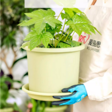 IRIS 爱丽思 Deepot深型树脂花盆5号（单盆）*15件