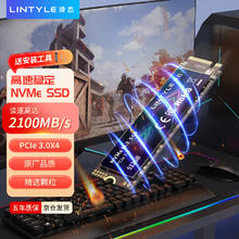 凌态 LINTYLE SSD固态硬盘m.2 (NVMe协议) PCle3.0x4长江颗粒内置台式笔记本 -X15L-PCIe3.0丨精选颗粒