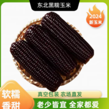 御绿 东北黑糯玉米 200g*8根